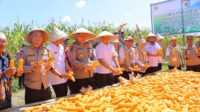 Inspektur Wilayah III Itwasum Polri, Brigjen Pol. Drs. Herukoco, M.Si., melakukan peninjauan langsung ke kebun jagung binaan Polres Maros